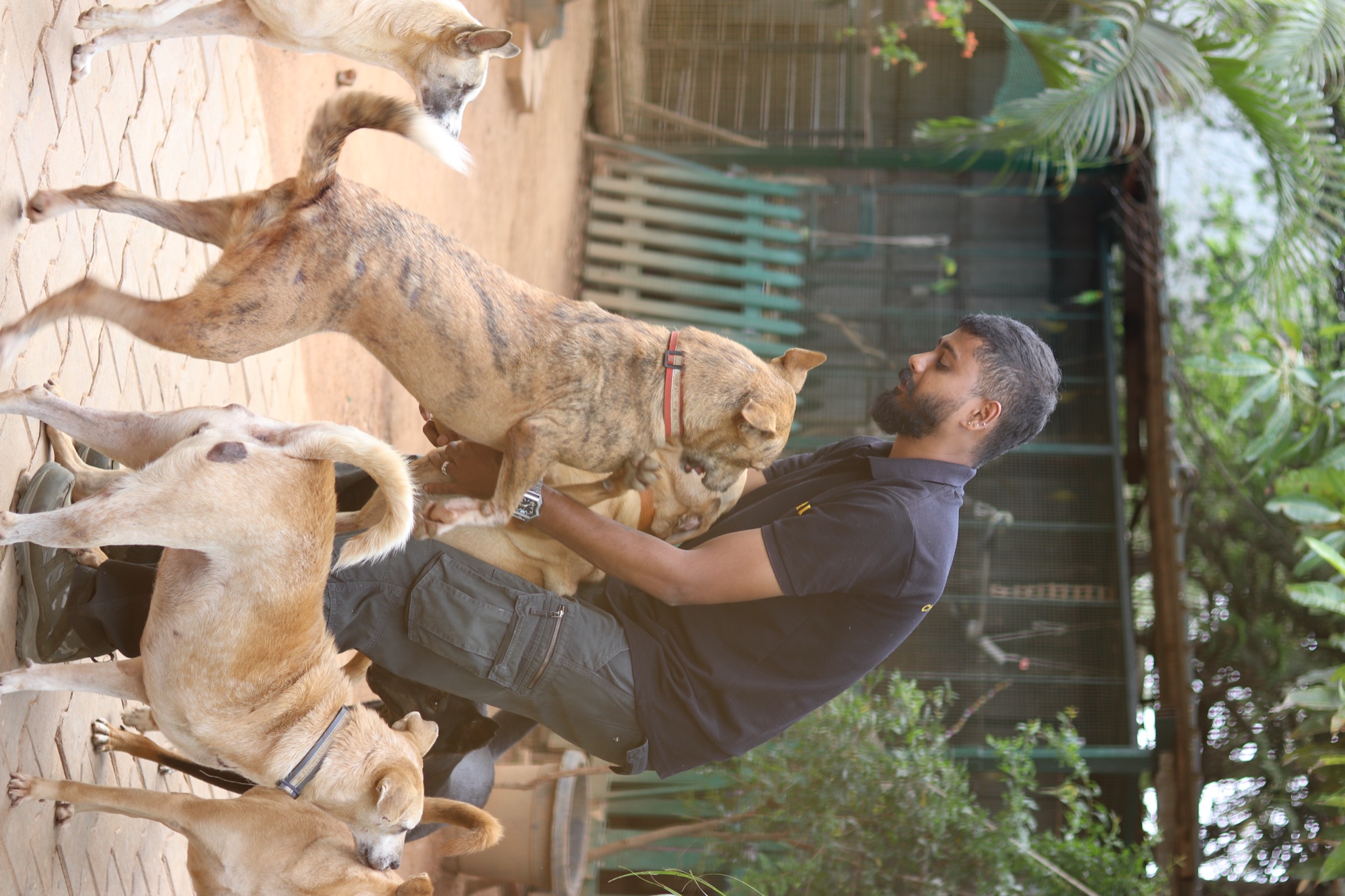 CARE volunteer with rescued dogs at shelter