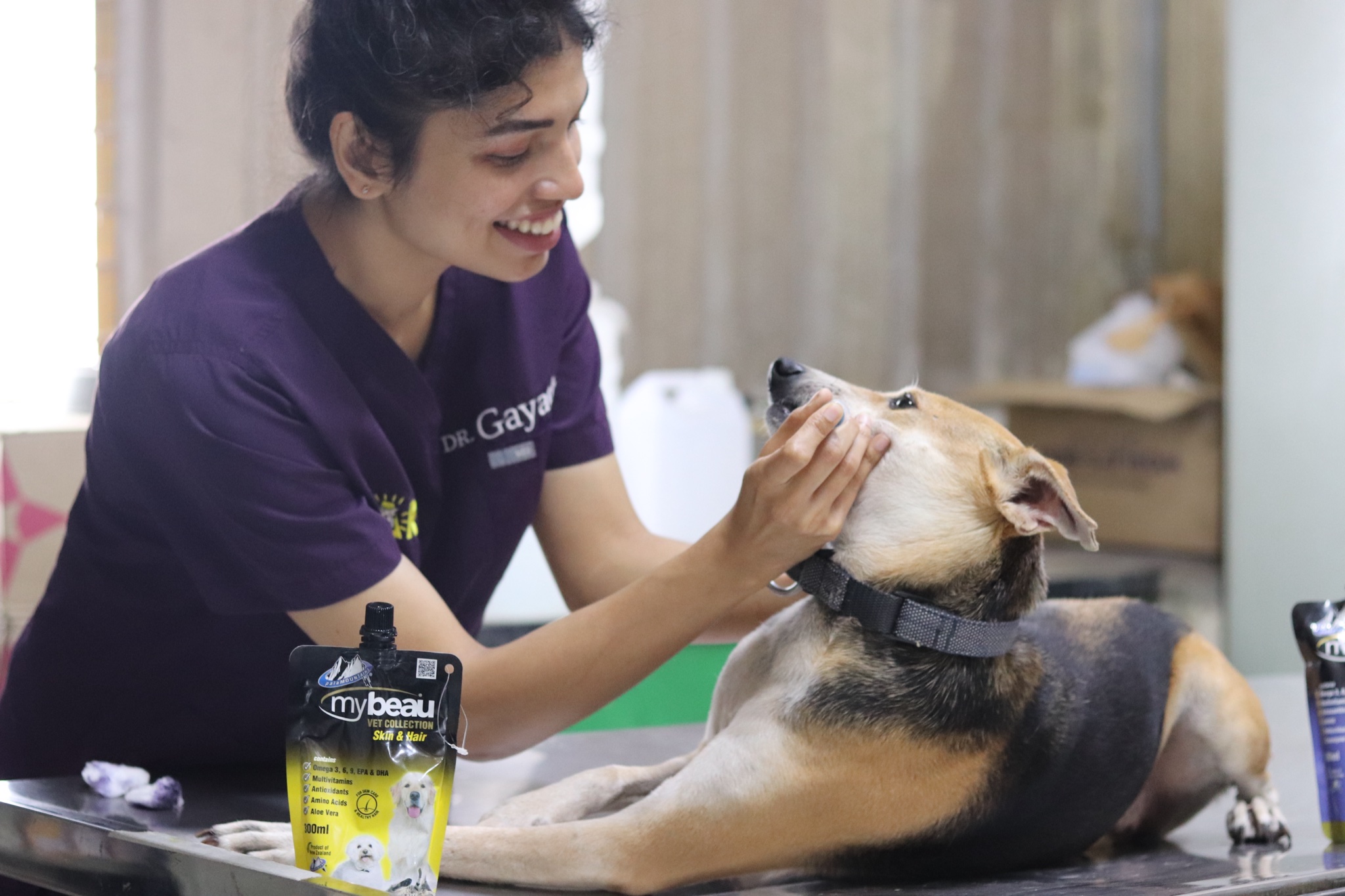 CARE medical check for a rescue dog
