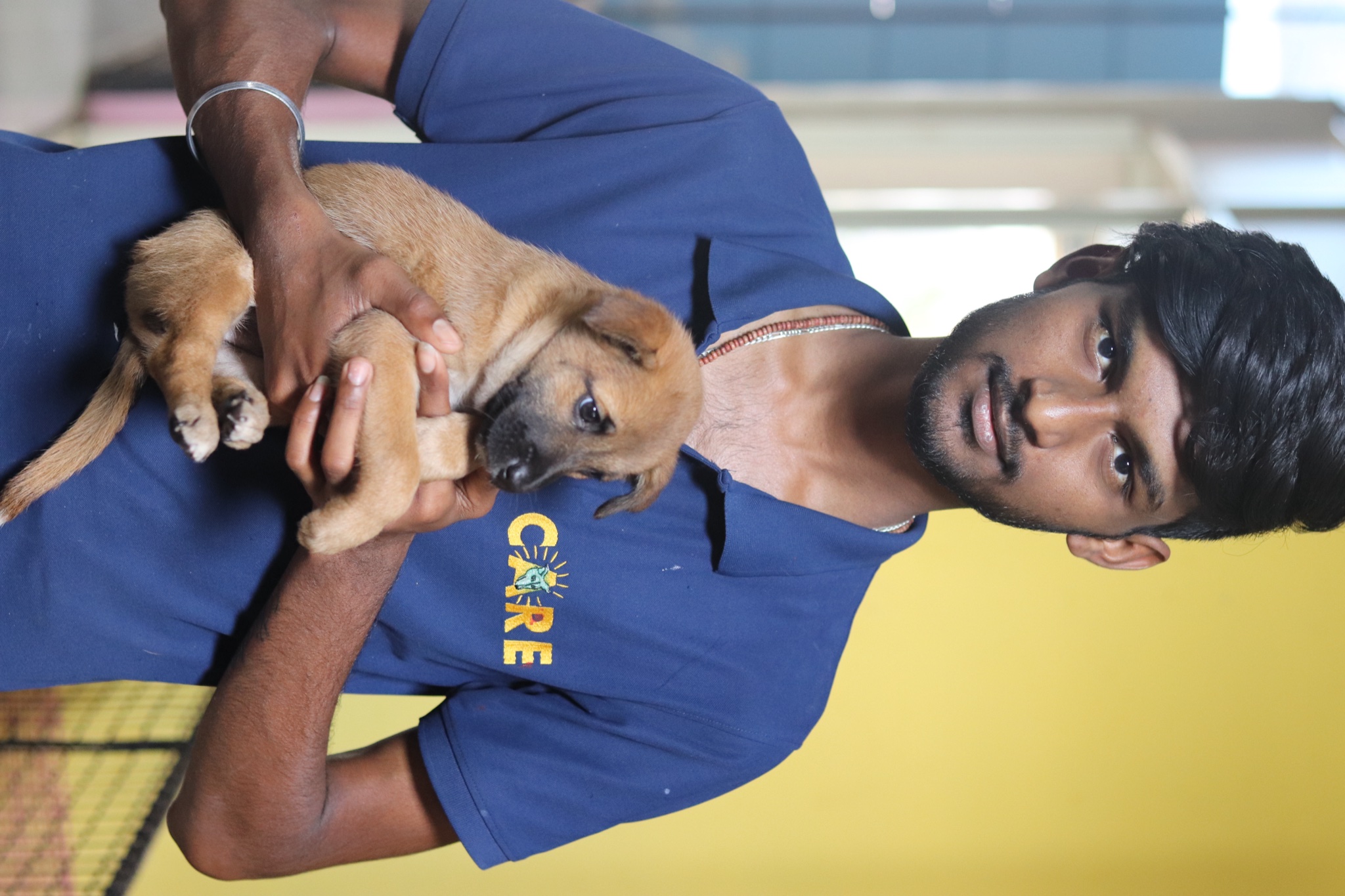 CARE volunteer holding rescued puppies