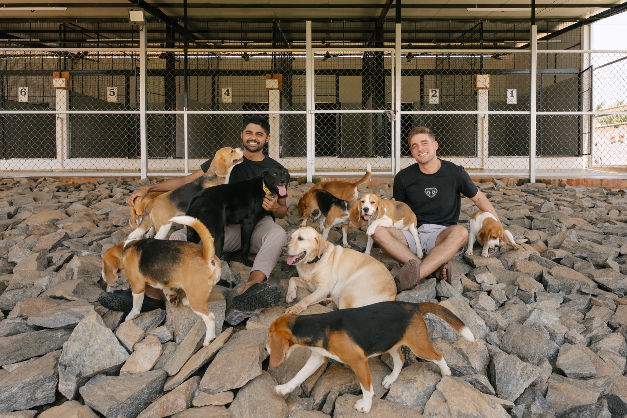The Dognosis founders with the full pack